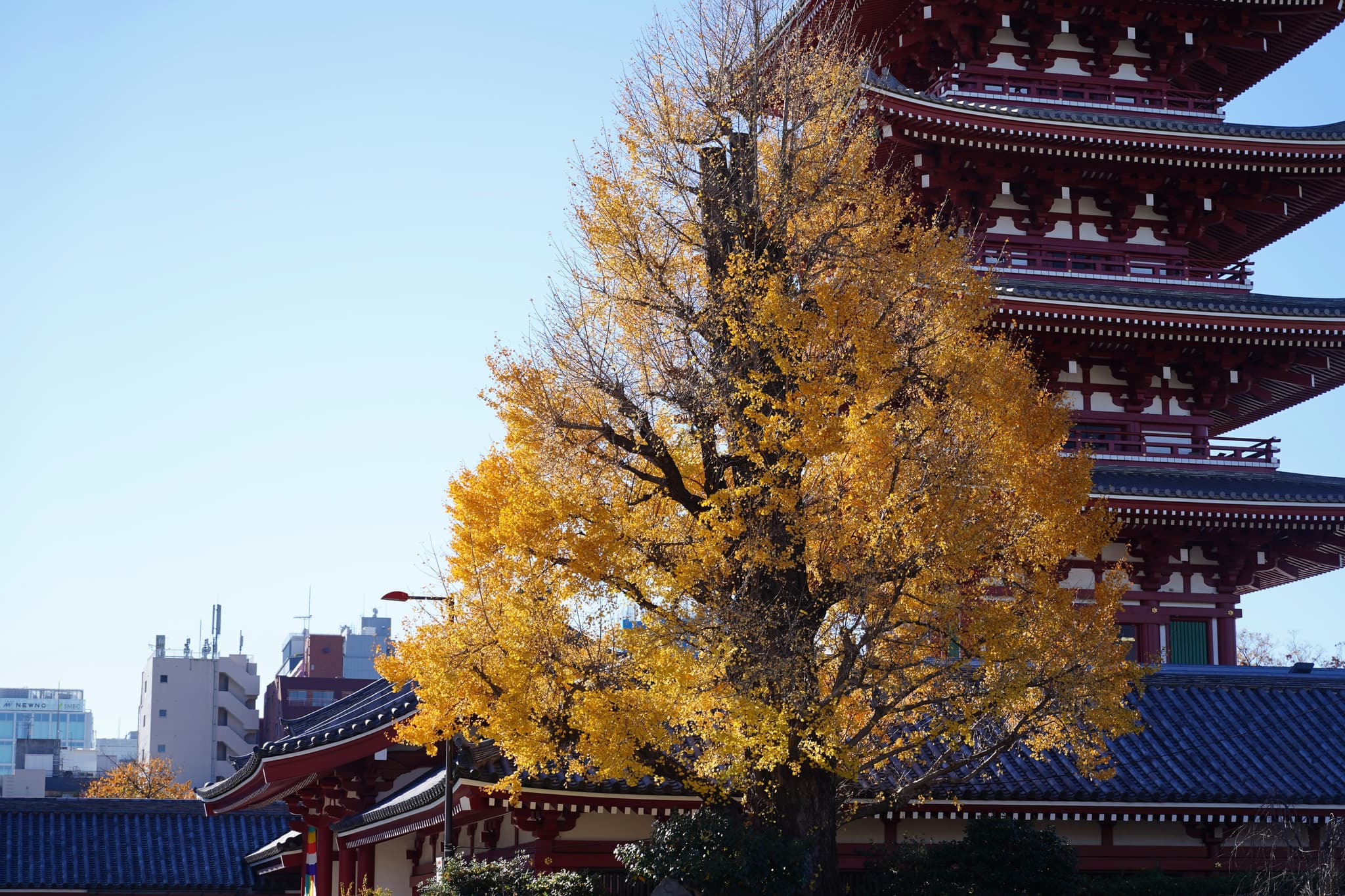 08 12月 24