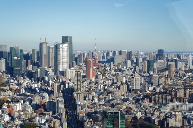 09 12月 24