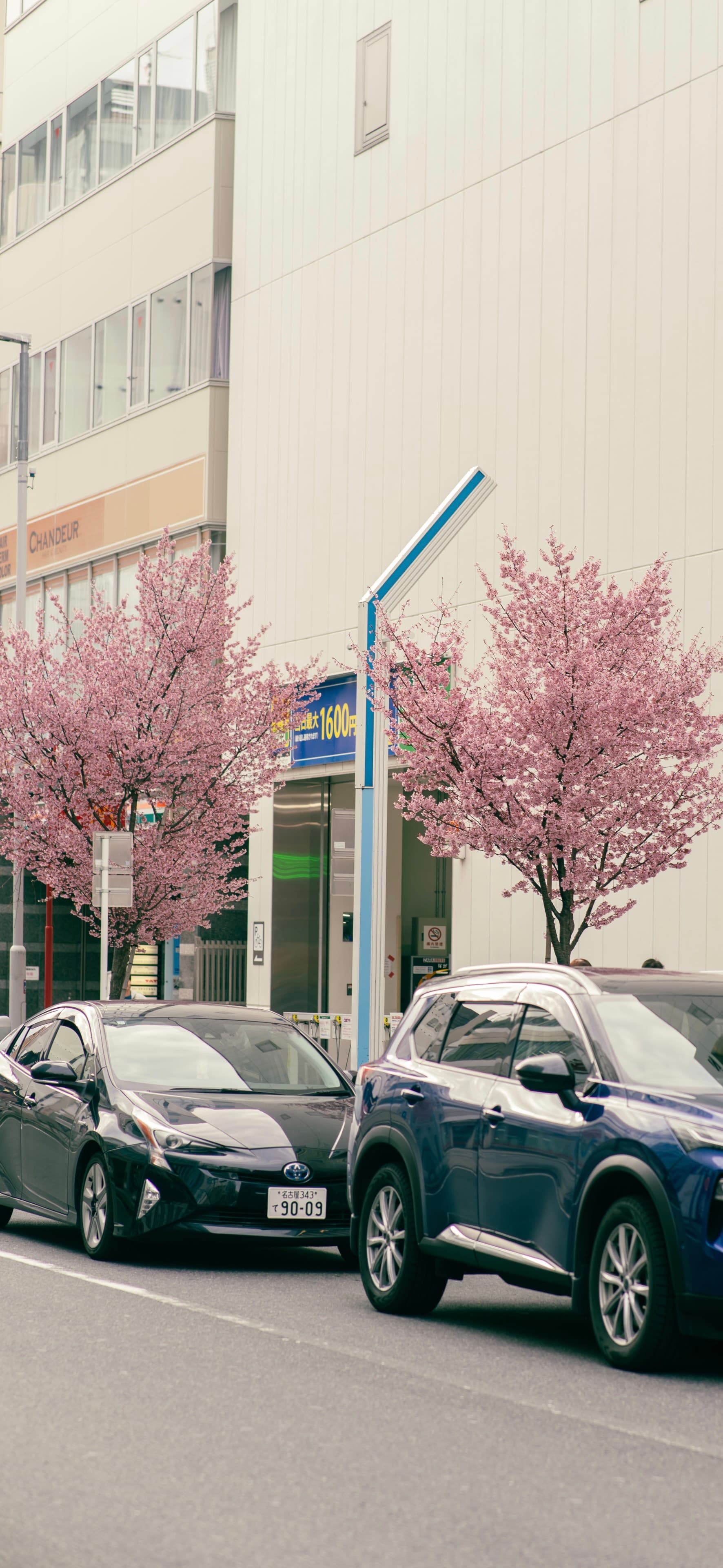 06 3月 24