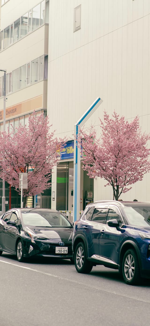 06 3月 24