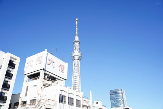 08 12月 24
