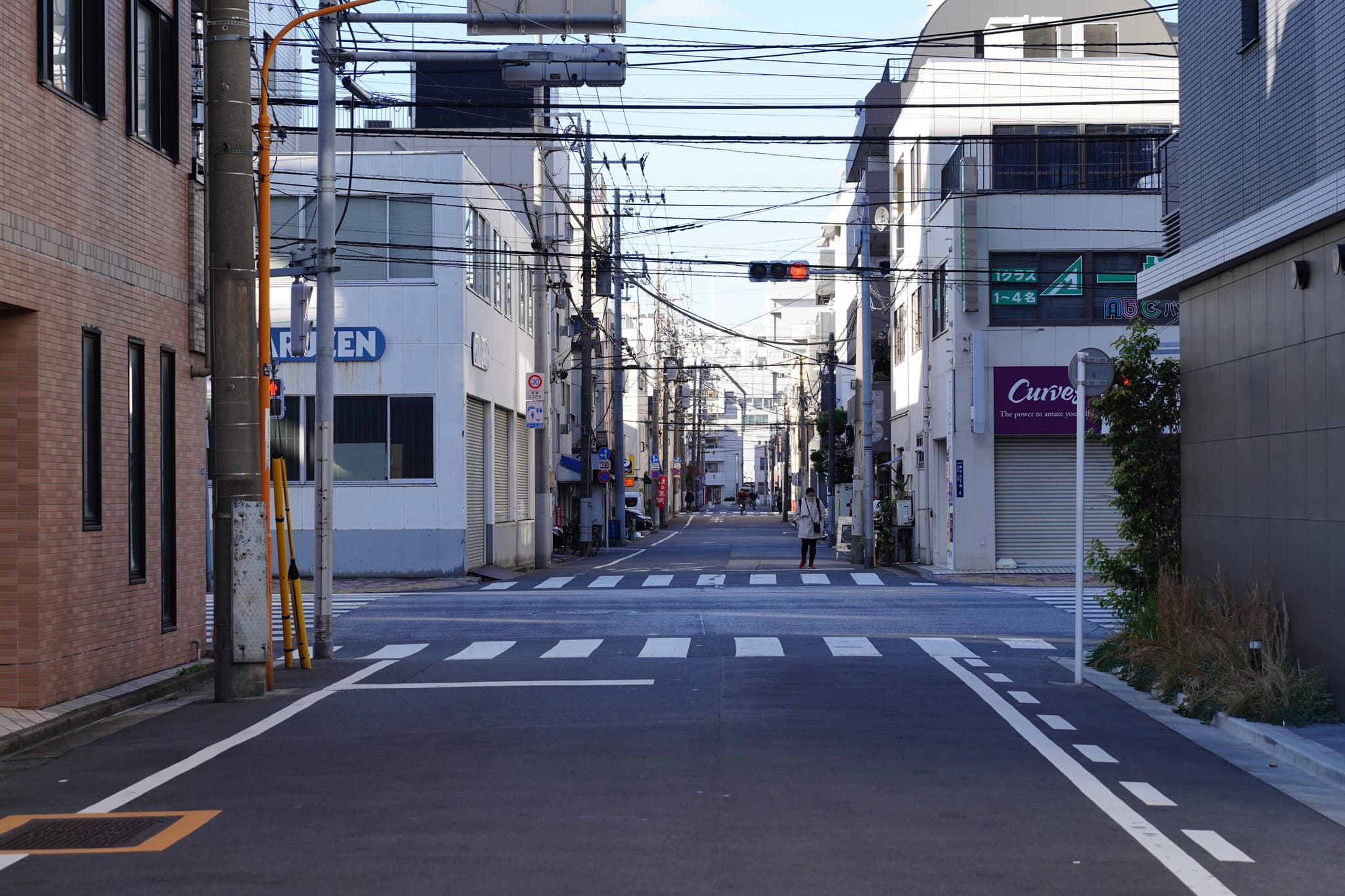 08 12月 24