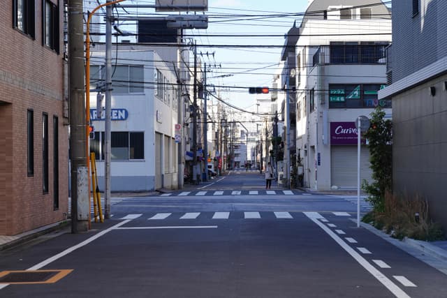 08 12月 24