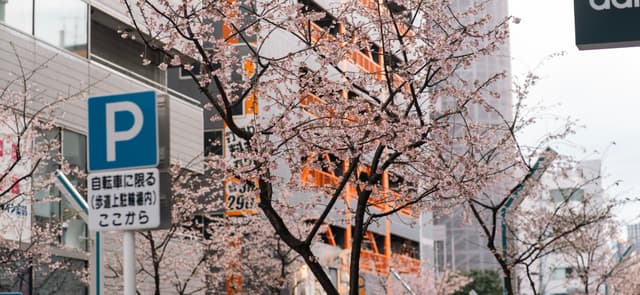 06 3月 24