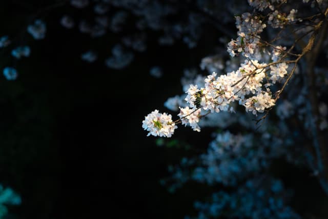 30 3月 24