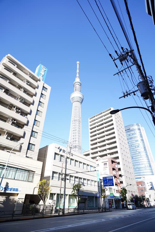 08 12月 24
