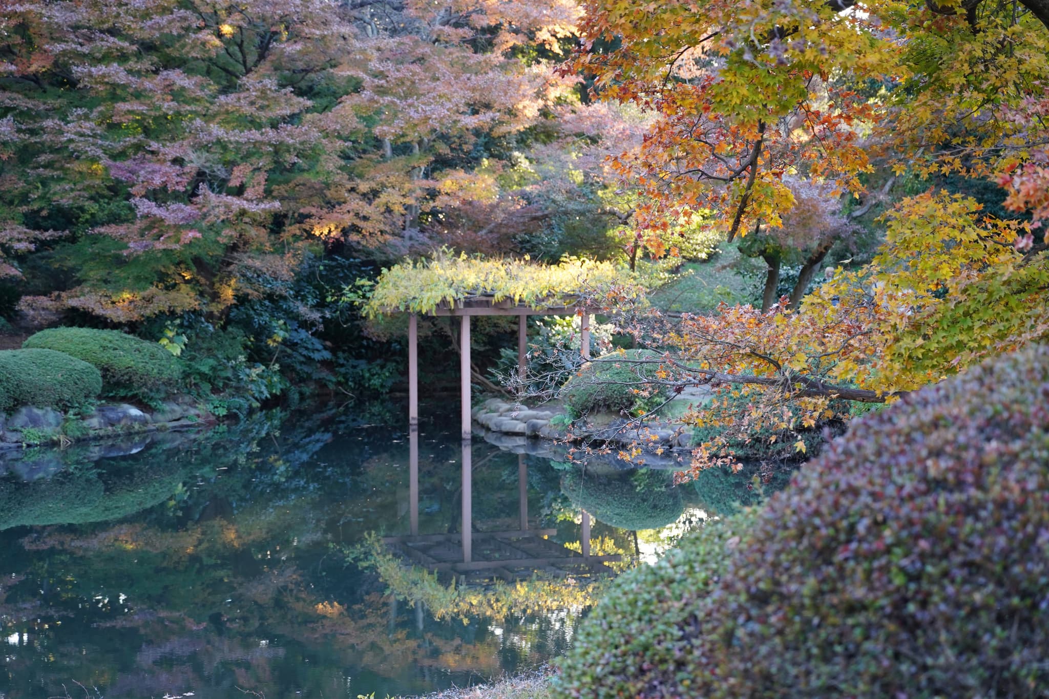 10 12月 24
