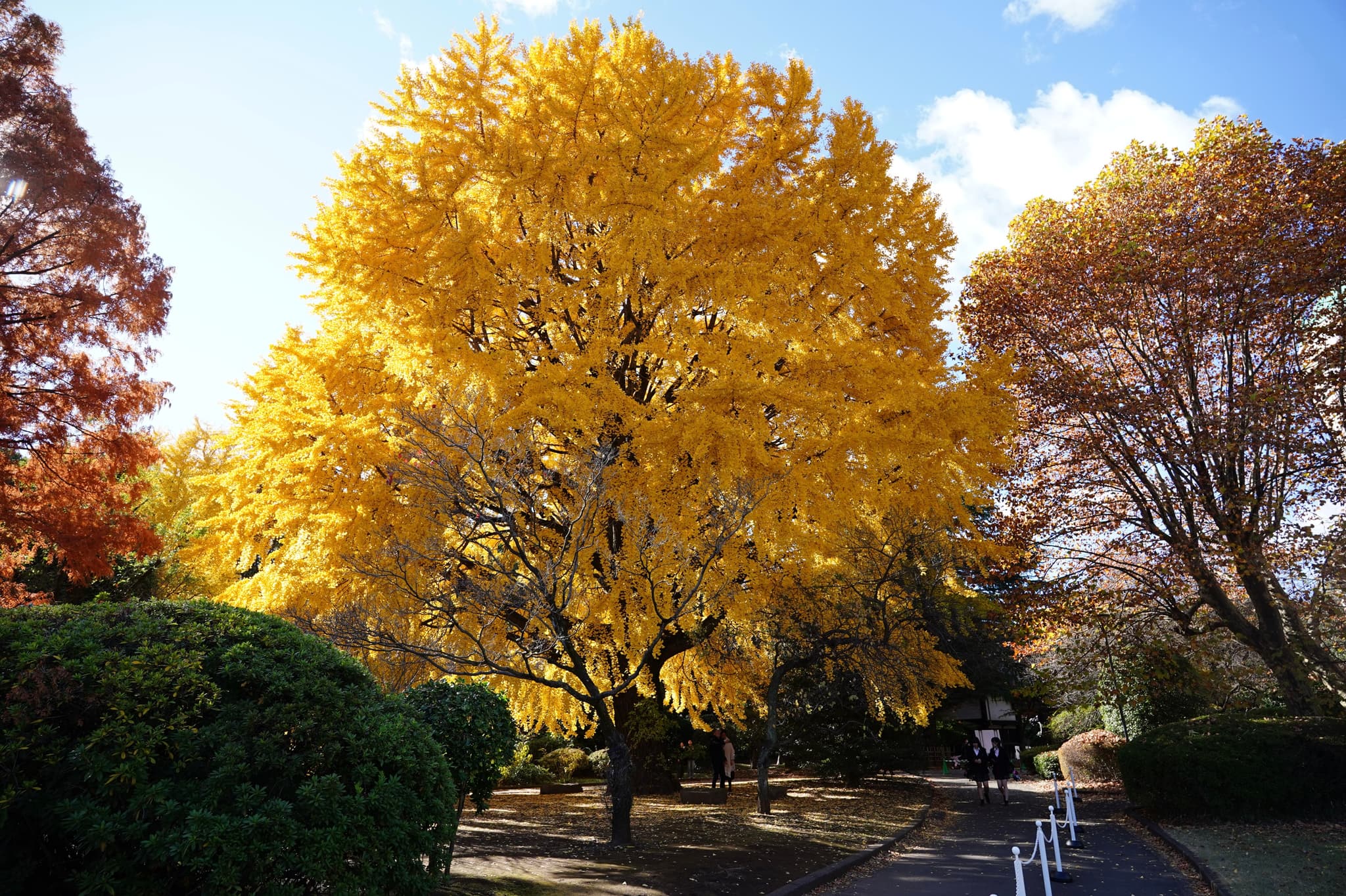 08 12月 24