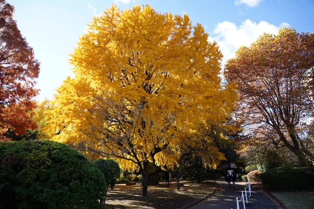 08 12月 24